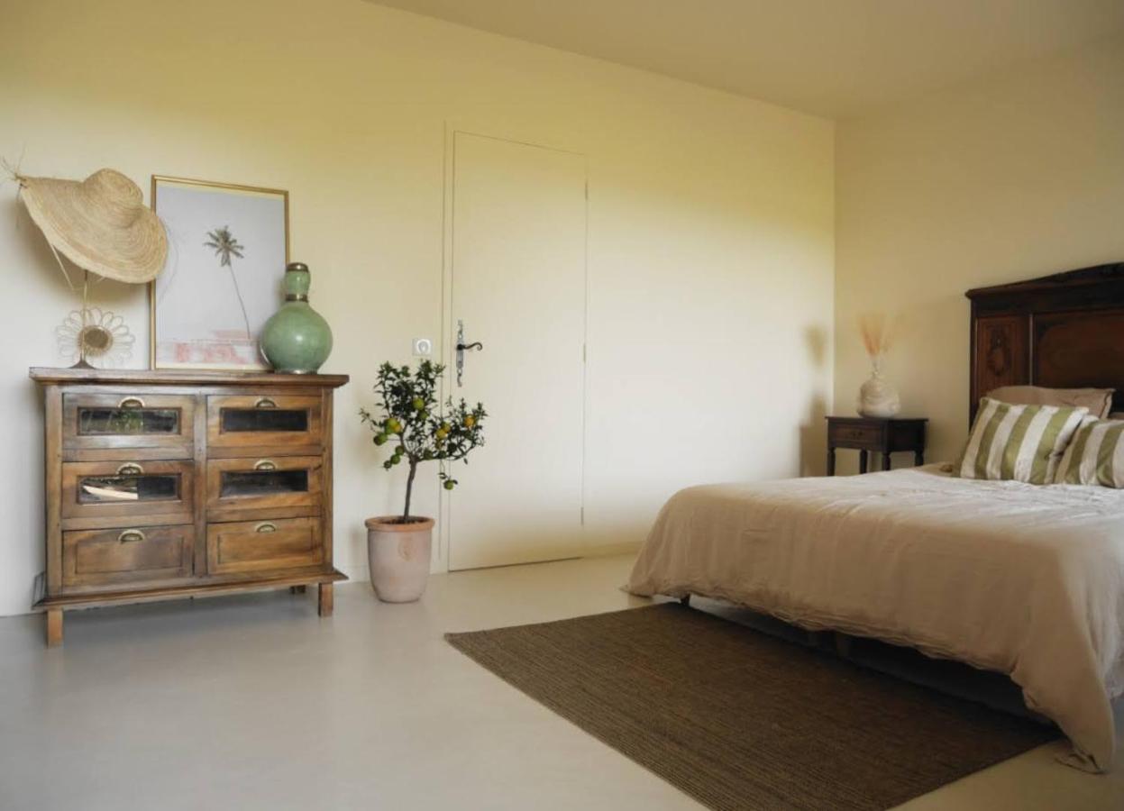 洛彻古德 Maison D'Hotes Le Mas Des Vignes酒店 外观 照片